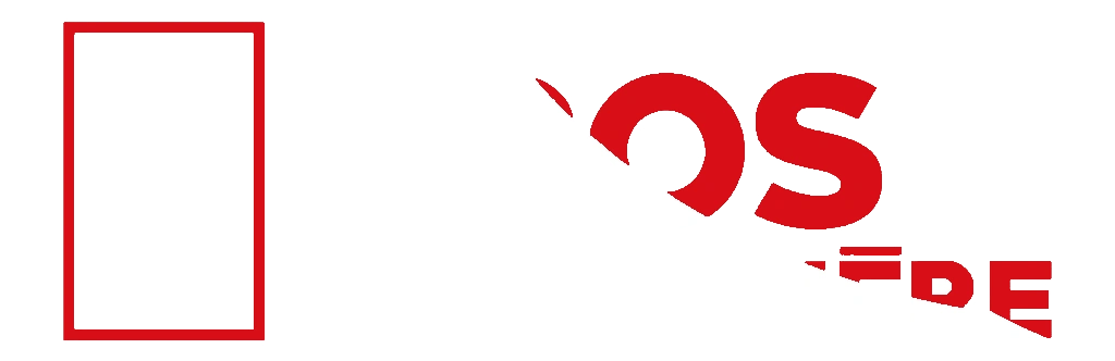 Les Pros de la Gouttière
